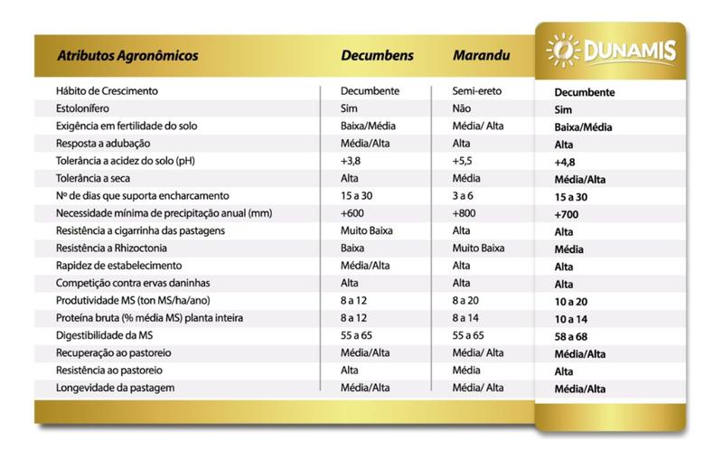 Imagem de Sementes de Brachiaria Hibrida Dunamis SAFRA22/23 - 100g