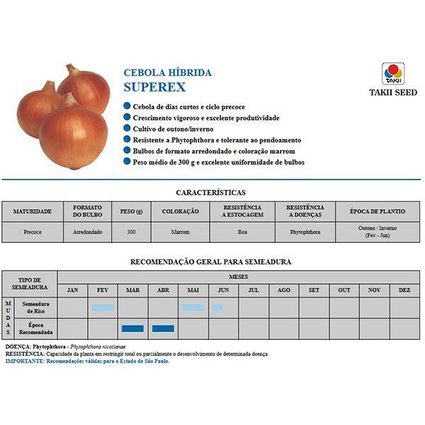 Imagem de Sementes de Cebola Híbrida Superex Pcte C/ 100.000 Sementes