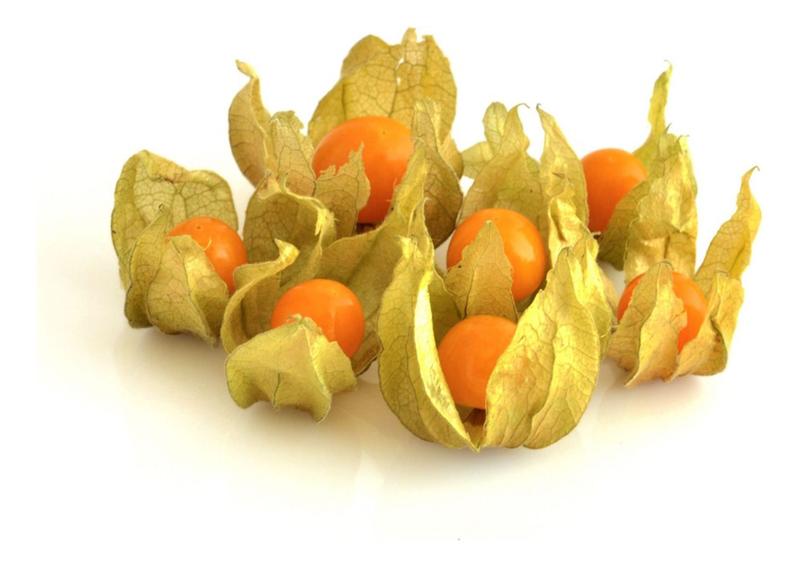 Sementes de Fisalis Goldenberry - 700mg - FELTRIN Imagem de Sementes de Fisalis Goldenberry - 700mg