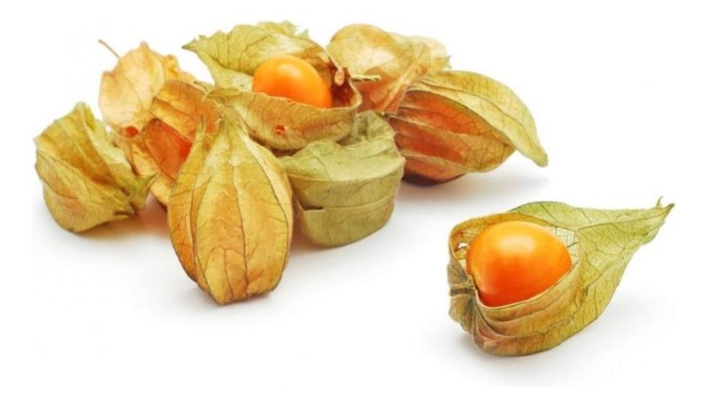 Sementes de Fisalis Goldenberry - 700mg - FELTRIN Imagem de Sementes de Fisalis Goldenberry - 700mg
