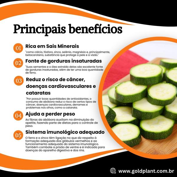 Imagem de Sementes de Frutas, Verduras, Temperos e Hortaliças Feltrin Envelope