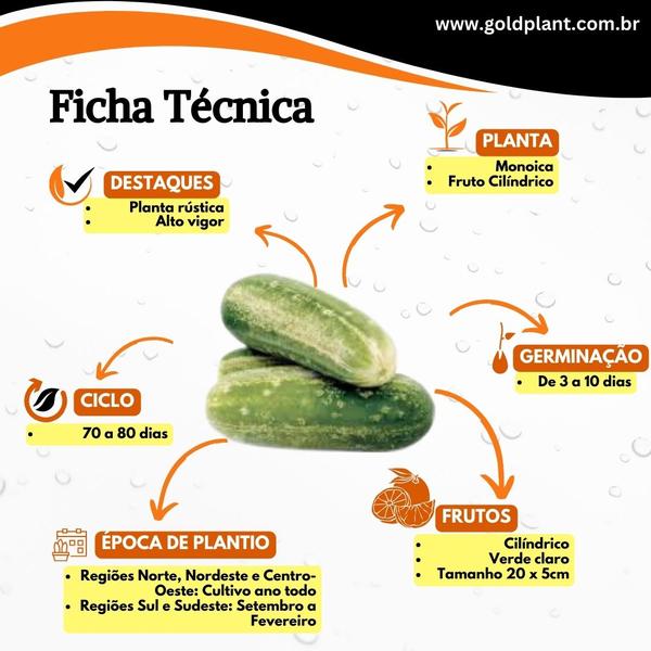 Imagem de Sementes de Frutas, Verduras, Temperos e Hortaliças Feltrin Envelope