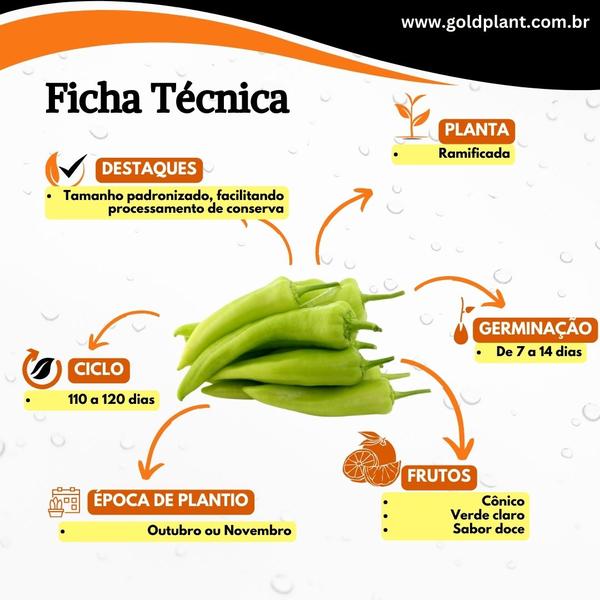 Imagem de Sementes de Frutas, Verduras, Temperos e Hortaliças Feltrin Envelope