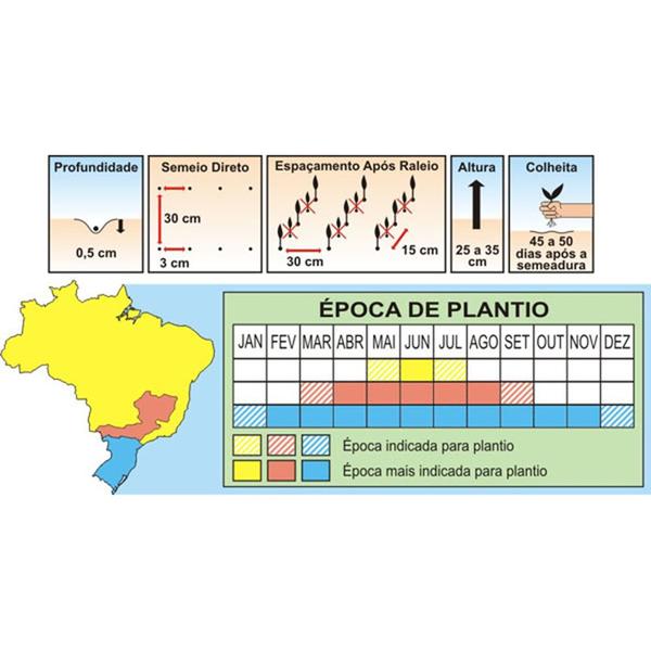 Imagem de Sementes de Nabo Pera de Colo Roxo Pcte C/ 100 Gramas