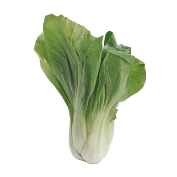 Imagem de Sementes de  Pak Choi Choko FELTRIN