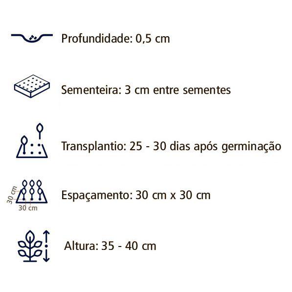 Imagem de Sementes de Papoula Excelsior Sortida Env. C/ 1 Gramas