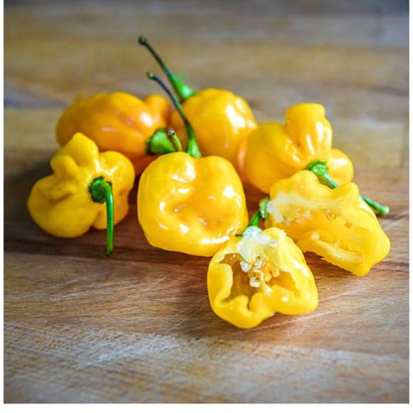 Imagem de Sementes de Pimenta Habanero (Yellow) TOPSEED