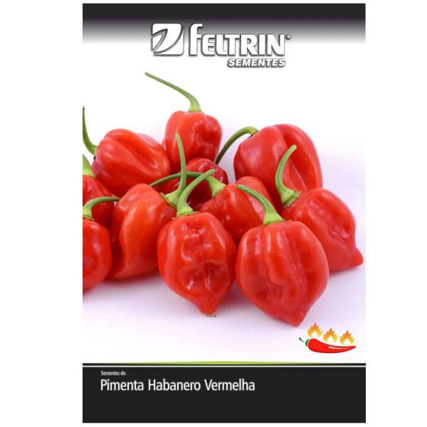 Imagem de Sementes de Pimenta Valesca (Habanero Vermelha) FELTRIN