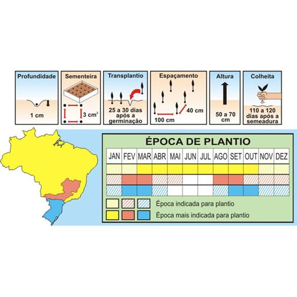 Imagem de Sementes de Pimentão All Big Pcte C/ 100 Gramas