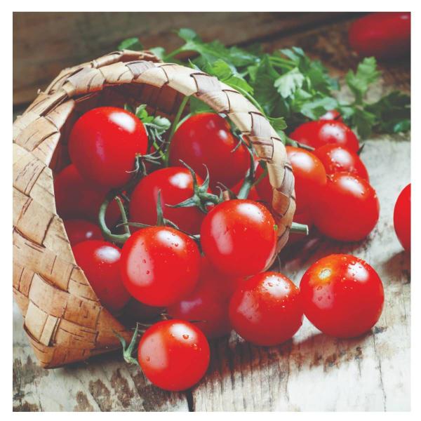 Imagem de Sementes de Tomate Cereja Vermelho Yubi FELTRIN