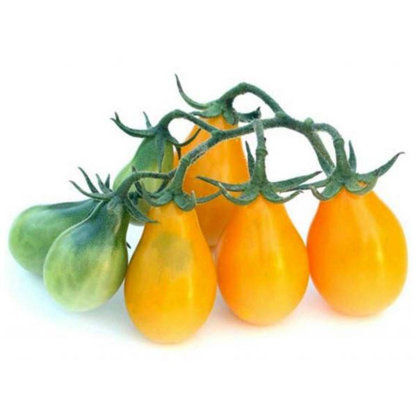 Imagem de Sementes de Tomate Pêra Amarelo (2g) Blueline TOPSEED