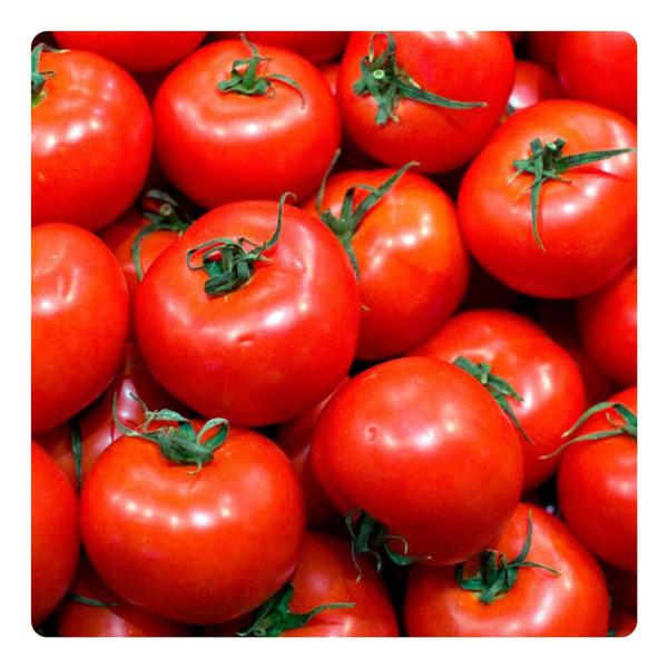 Imagem de Sementes de Tomate Rasteiro Rio Grande - 250g