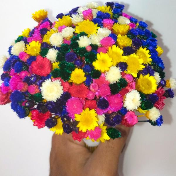 Imagem de Sempre Viva Botão Jazida - 200 Flores - Decoração