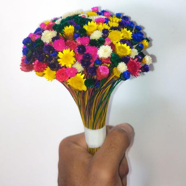 Imagem de Sempre Viva jazida , kit com 600 flores secas / desidratadas