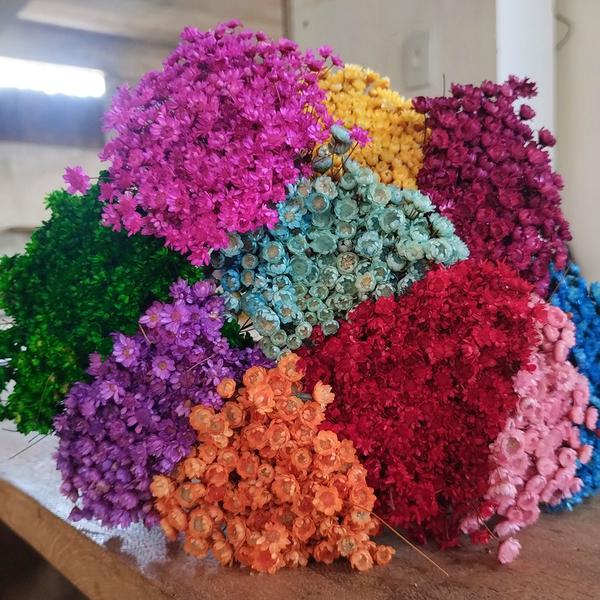 Imagem de Sempre vivas COLORIDAS EXTRA, kit com 250 flores para casamento