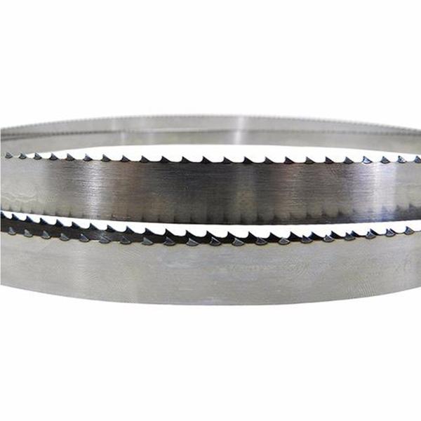 Serra Fita para carne e Osso C/ 2,38 M - Starrett Imagem de Serra Fita para carne e Osso C/ 2,38 M