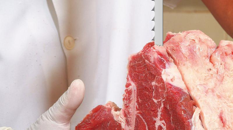 Serra Fita para carne e Osso C/ 2,38 M - Starrett Imagem de Serra Fita para carne e Osso C/ 2,38 M