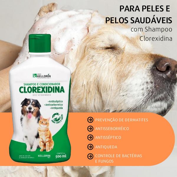 Imagem de Shampoo 5 Em 1 Clorexidina Dermatites Antiqueda P/ Cachorro