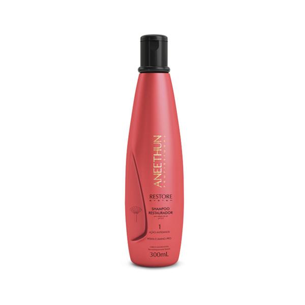 Imagem de Shampoo Aneethun Restore System 300ml