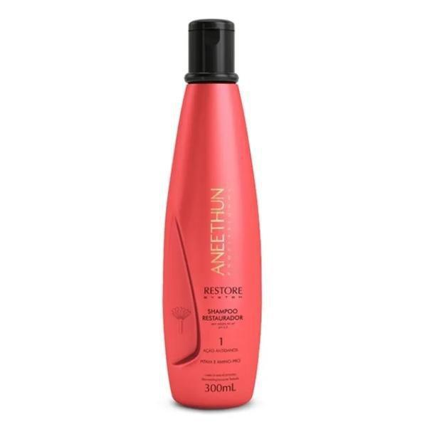 Imagem de Shampoo Aneethun Restore System 300Ml