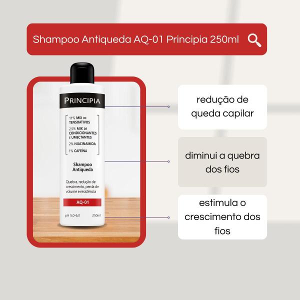 Imagem de Shampoo Antiqueda e Antiquebra AQ-01 Principia 250ml