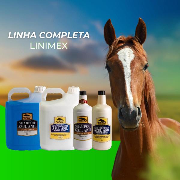 Imagem de Shampoo Azul Anil Winner Horse 1 litro