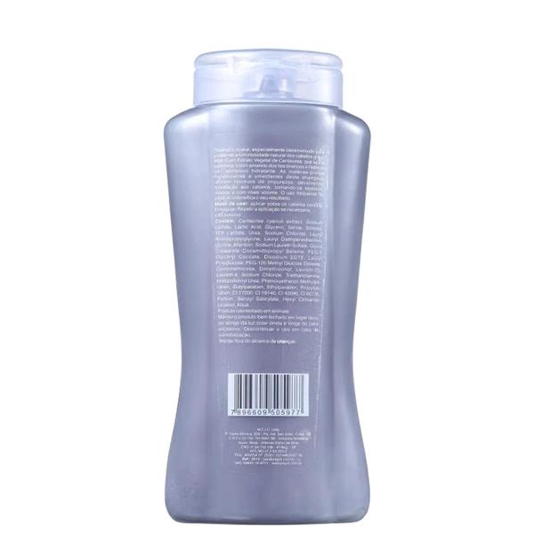 Imagem de Shampoo para cabelos grisalhos payot 300ml