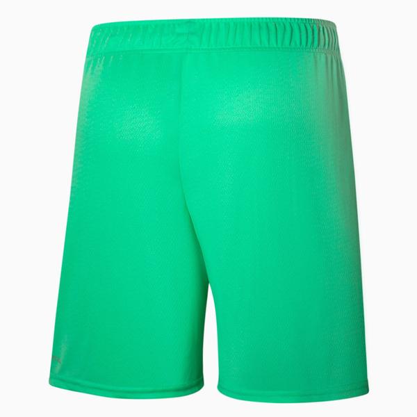 Imagem de Shorts Puma Palmeiras Third Masculino - Verde