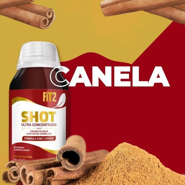 Imagem de Shot Fit2 Vinagre De Maçã Suplemento Alimentar Natural 150Ml