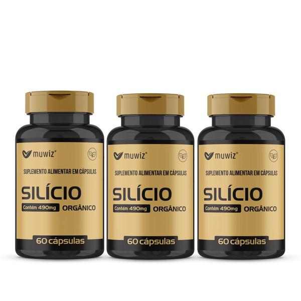 Imagem de Silício Organico kit 3 Frascos 60 Cápsulas 490mg  total 180 capsulas