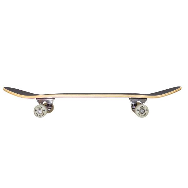 Imagem de Skate Montado Completo Street Semi Profissional PRO-1 Maple Azul Beach Paradise 100KG Life Dreams