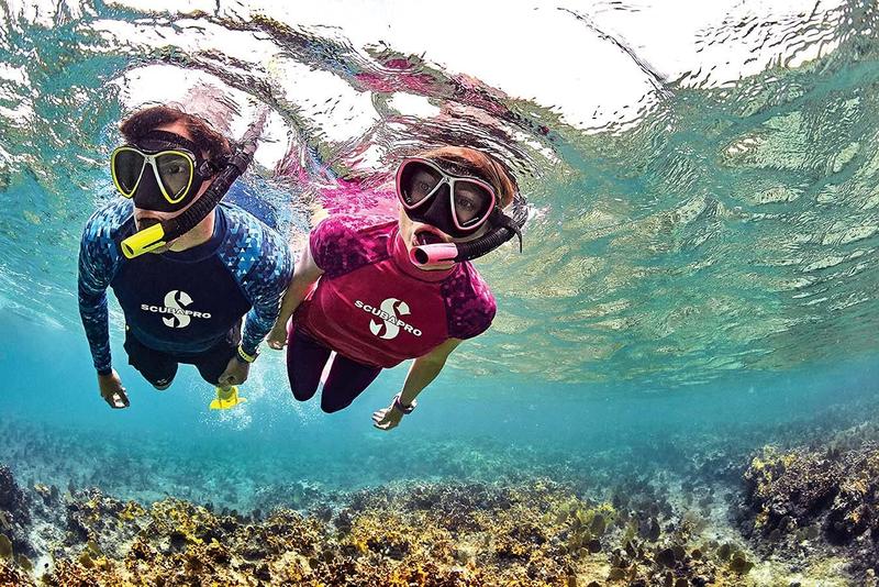 Imagem de Snorkel SCUBAPRO Spectra Dry com válvula de purga preta/amarela