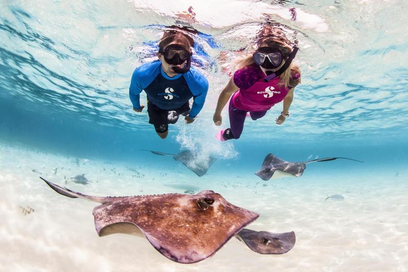 Imagem de Snorkel SCUBAPRO Spectra Dry com válvula de purga transparente/branca