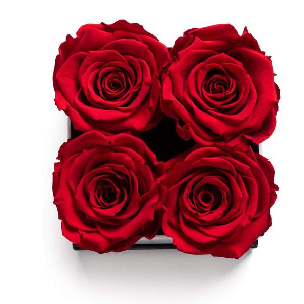 Soho Artes Florais Rosas em uma caixa Rosas genuínas que Las - Soho Floral Arts Imagem de Soho Artes Florais Rosas em uma caixa Rosas genuínas que Las