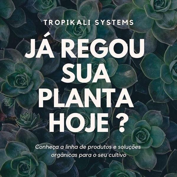 Imagem de Solo Vivo Substrato Outgrow 20l Tropikali Cultivo Terra