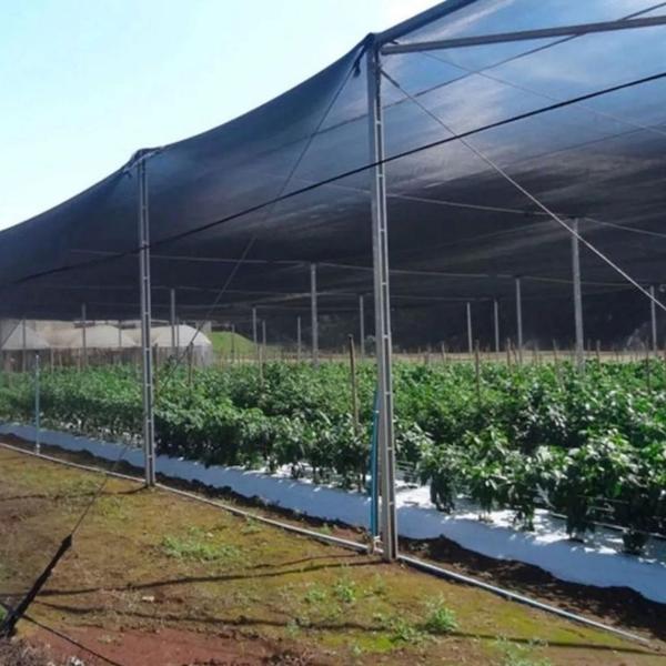 Imagem de Sombrite Para Horta Sombreamento 50% 6x25 Mts