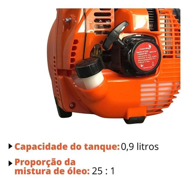 Imagem de Soprador De Folhas A Gasolina 26Cc Iwsfg2T26