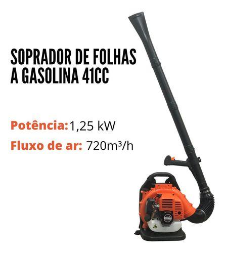 Imagem de Soprador De Folhas À Gasolina 41cc Importway 2 Tempos 1,25kw