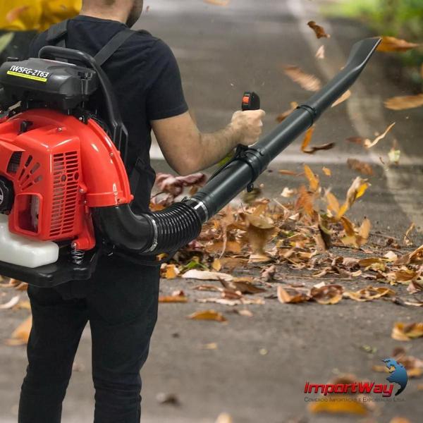 Imagem de Soprador de folhas gasolina 2 tempos 63cc