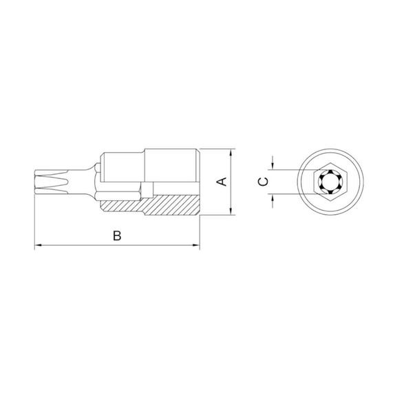 Imagem de Soquete Trafix 3/8" T-30 - 44813130 - TRAMONTINA