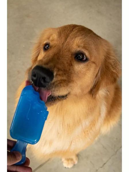 Imagem de Sorvete gelado para cachorro