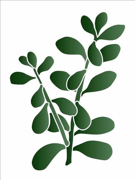 Imagem de Stencil Pintura Plantas Jade 3383 15x20 Opa