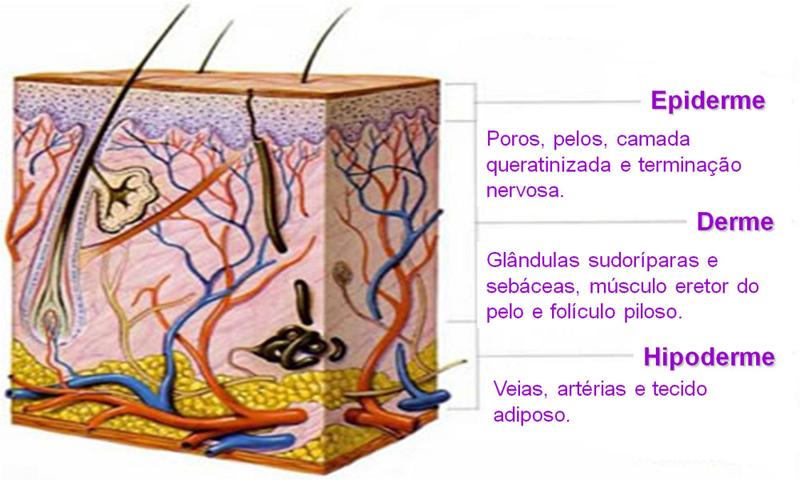 Imagem de Sublime Hair Projeto Rapuzel Tônico de Crescimento 120ml