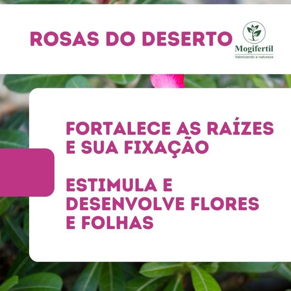 Imagem de Substrato 40 Litros para Rosa do Deserto Terra Vegetal 20kg