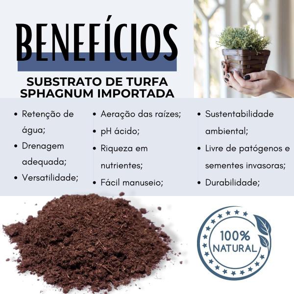 Substrato de Turfa Importada Premium 1 Litro - Casa Pet Clean Imagem de Substrato de Turfa Importada Premium 1 Litro