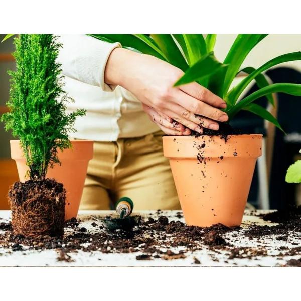 Substrato de Turfa Importada Premium 1 Litro - Casa Pet Clean Imagem de Substrato de Turfa Importada Premium 1 Litro
