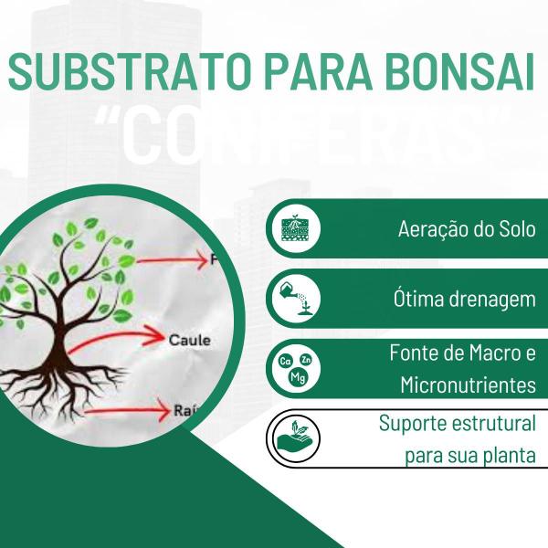 Imagem de Substrato Para Bonsai Coníferas ou Frutíferas 10 Kg - Gold Plant