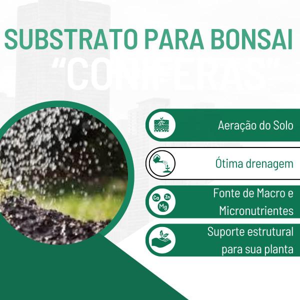 Imagem de Substrato Para Bonsai Coníferas ou Frutíferas 3 Kg - Gold Plant