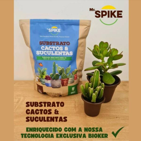 Imagem de Substrato para Cactos e Suculentas (1KG) MR.SPIKE