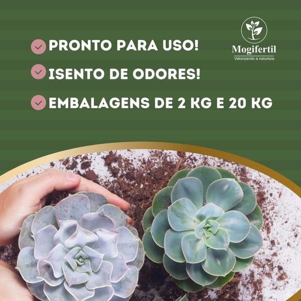 Imagem de Substrato Para Cactos e Suculentas Terra Vegetal 20kg 